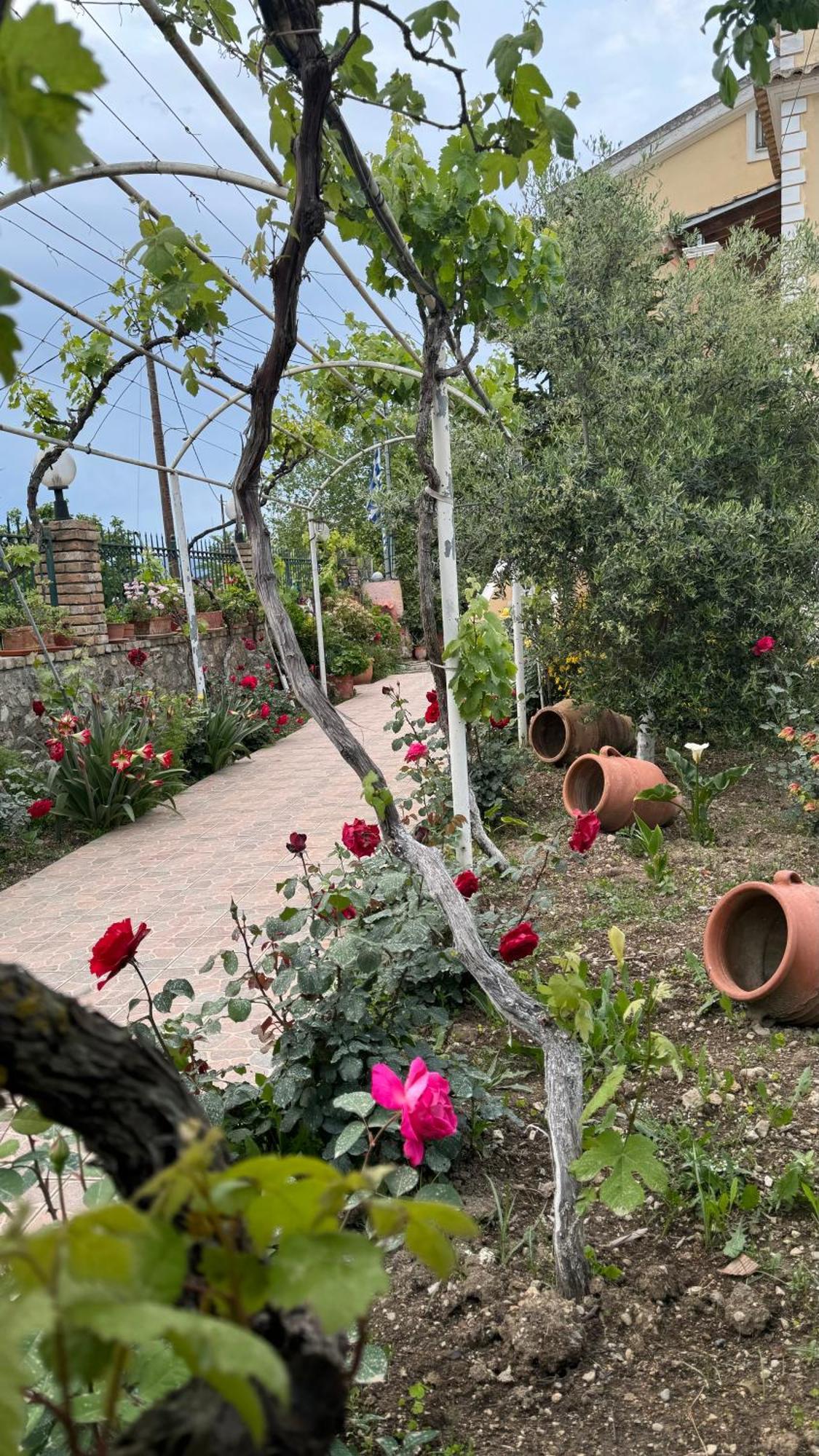 Corfu  Apidalos Naus Apartment מראה חיצוני תמונה