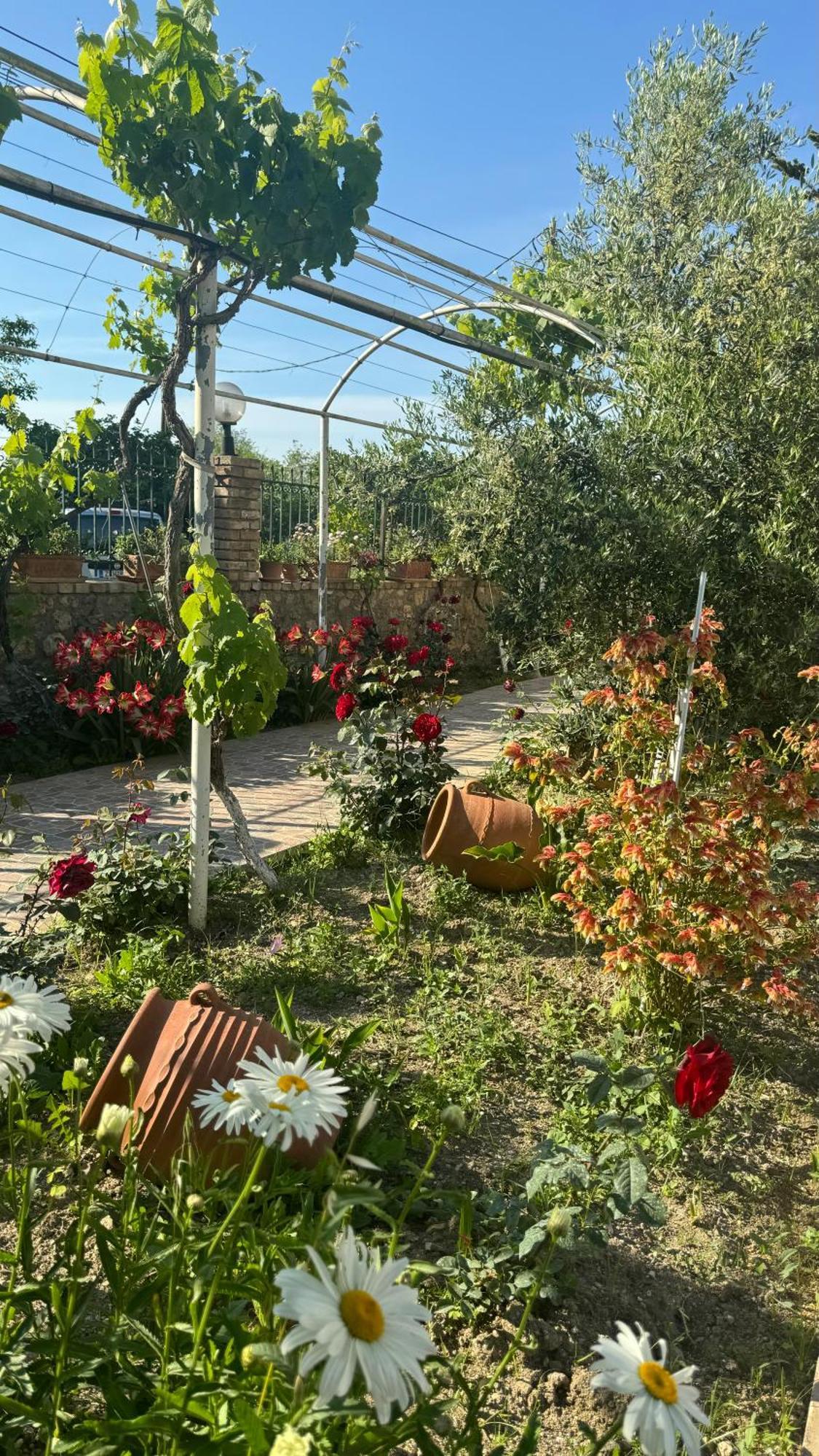 Corfu  Apidalos Naus Apartment מראה חיצוני תמונה